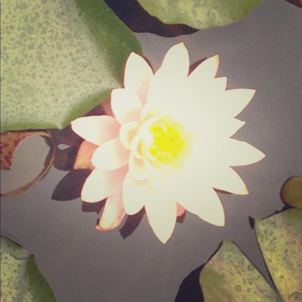 Casual, classy, professional, boho